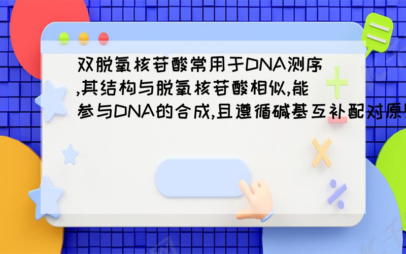 双脱氧核苷酸常用于DNA测序,其结构与脱氧核苷酸相似,能参与DNA的合成,且遵循碱基互补配对原则.DNA合成时,在DNA聚合酶作用下,若连接上的是双脱氧核苷酸,子链延伸终止；若连接上的是脱氧核