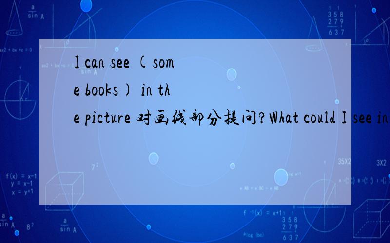 I can see (some books) in the picture 对画线部分提问?What could I see in the picture行吗?