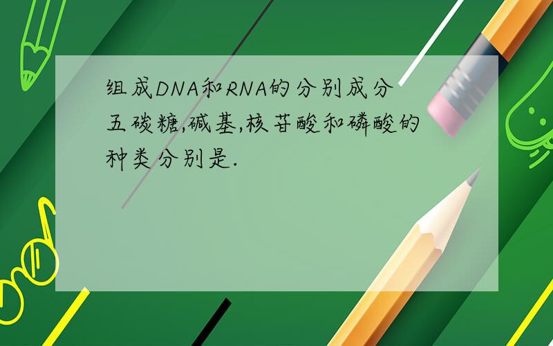 组成DNA和RNA的分别成分五碳糖,碱基,核苷酸和磷酸的种类分别是.
