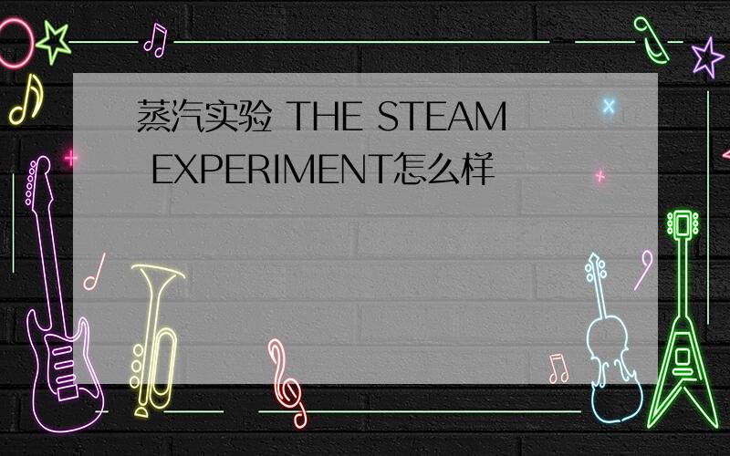 蒸汽实验 THE STEAM EXPERIMENT怎么样