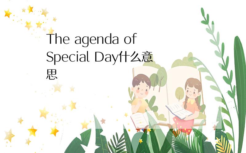 The agenda of Special Day什么意思