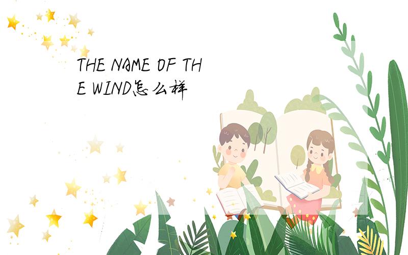 THE NAME OF THE WIND怎么样