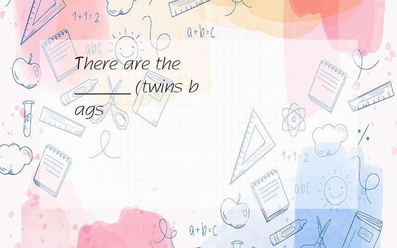 There are the ______(twins bags