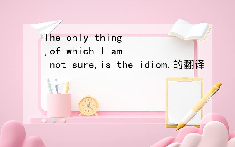 The only thing,of which I am not sure,is the idiom.的翻译