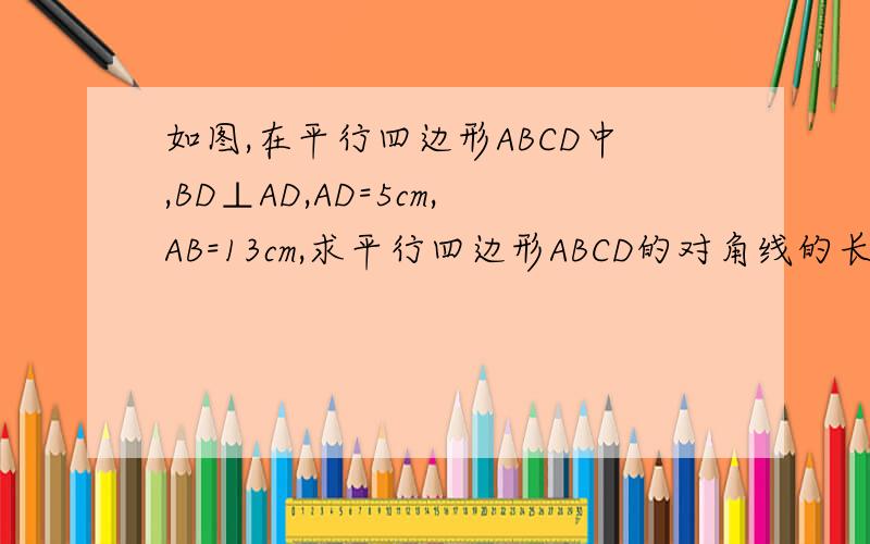 如图,在平行四边形ABCD中,BD⊥AD,AD=5cm,AB=13cm,求平行四边形ABCD的对角线的长
