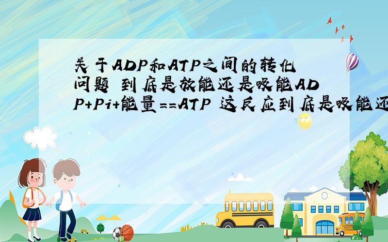 关于ADP和ATP之间的转化问题 到底是放能还是吸能ADP+Pi+能量==ATP 这反应到底是吸能还是放能?从化学角度来讲,这是成键反应,而成键应该放能但是从生物角度来讲,ATP用于储存能量,那按说应该是