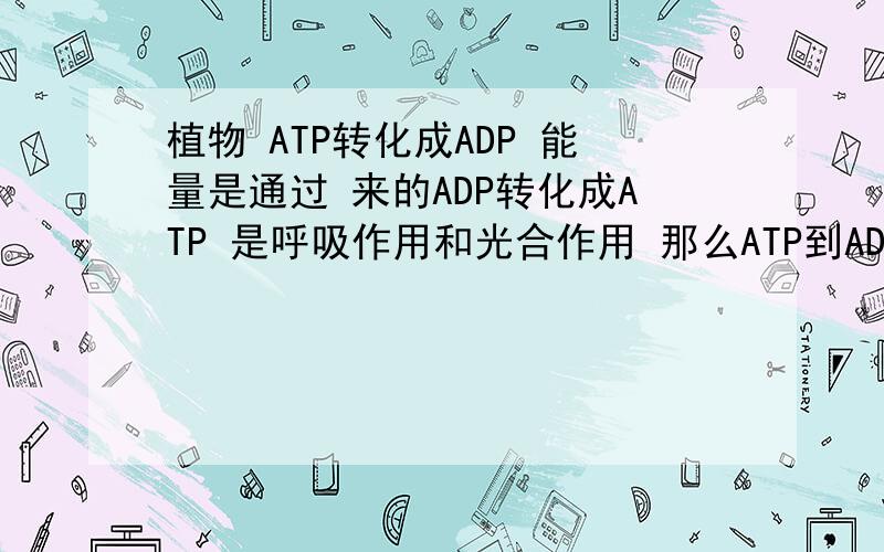 植物 ATP转化成ADP 能量是通过 来的ADP转化成ATP 是呼吸作用和光合作用 那么ATP到ADP呢