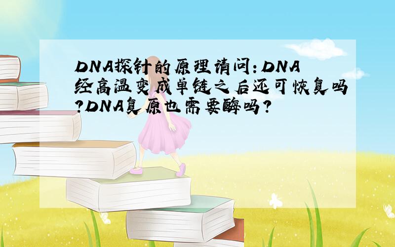 DNA探针的原理请问：DNA经高温变成单链之后还可恢复吗?DNA复原也需要酶吗？