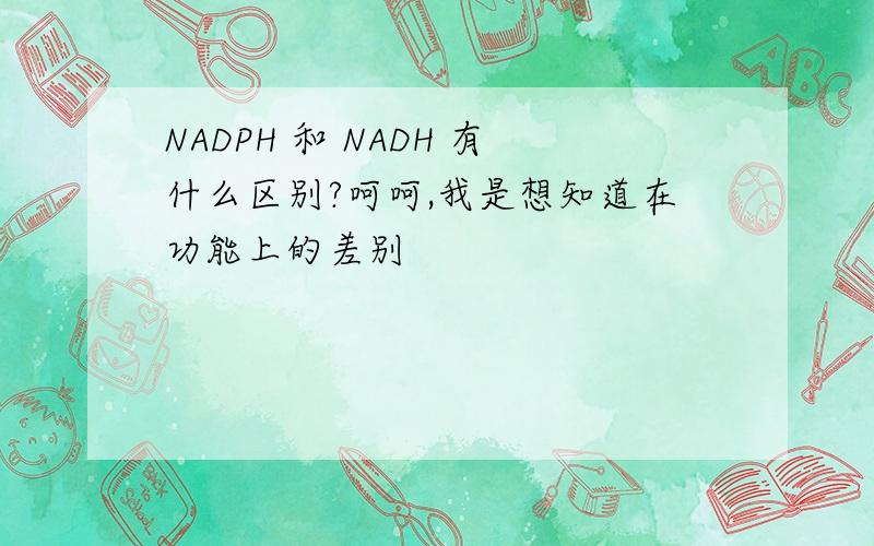 NADPH 和 NADH 有什么区别?呵呵,我是想知道在功能上的差别