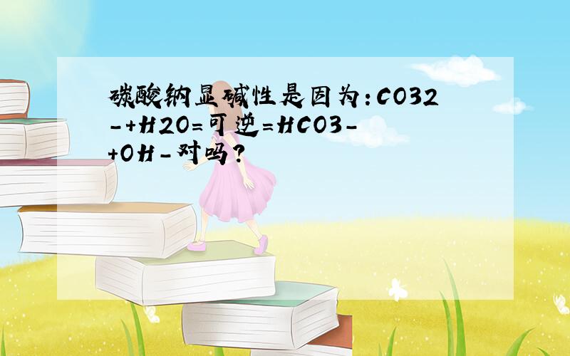 碳酸钠显碱性是因为：CO32-+H2O=可逆=HCO3-+OH-对吗?