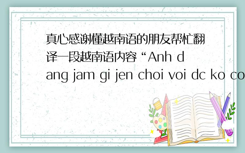 真心感谢懂越南语的朋友帮忙翻译一段越南语内容“Anh dang jam gi jen choi voi dc ko co ko”这是一条关系到本人终生大事的回复短信 在此跪谢帮忙翻译的好心大哥大姐
