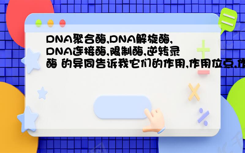 DNA聚合酶,DNA解旋酶,DNA连接酶,限制酶,逆转录酶 的异同告诉我它们的作用,作用位点,作用时期.