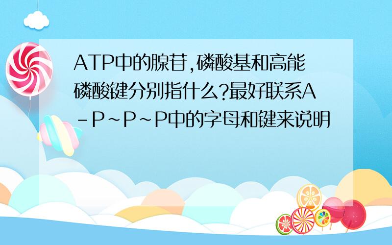 ATP中的腺苷,磷酸基和高能磷酸键分别指什么?最好联系A-P～P～P中的字母和键来说明