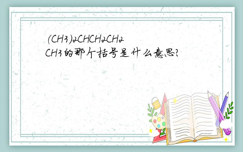 （CH3）2CHCH2CH2CH3的那个括号是什么意思?