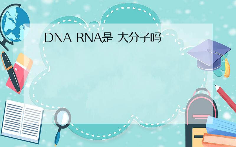 DNA RNA是 大分子吗