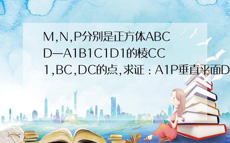 M,N,P分别是正方体ABCD—A1B1C1D1的棱CC1,BC,DC的点,求证：A1P垂直平面DMN