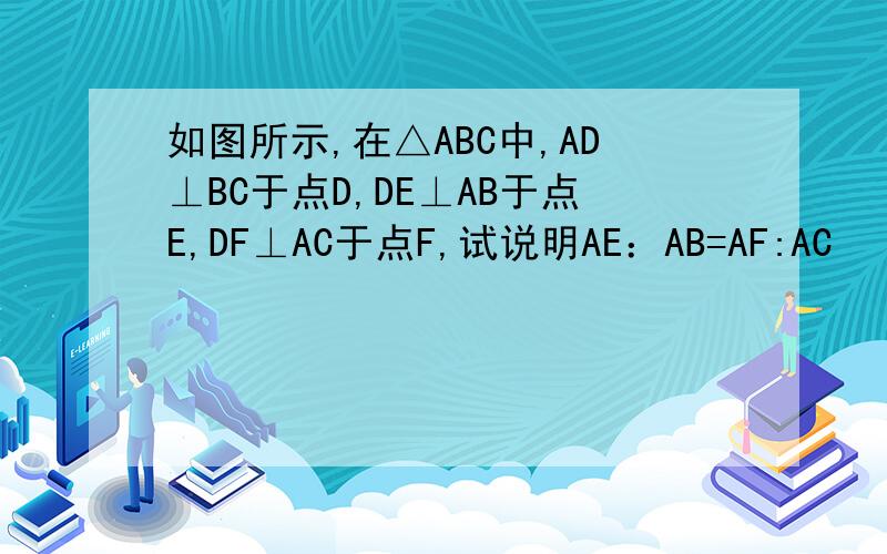如图所示,在△ABC中,AD⊥BC于点D,DE⊥AB于点E,DF⊥AC于点F,试说明AE：AB=AF:AC
