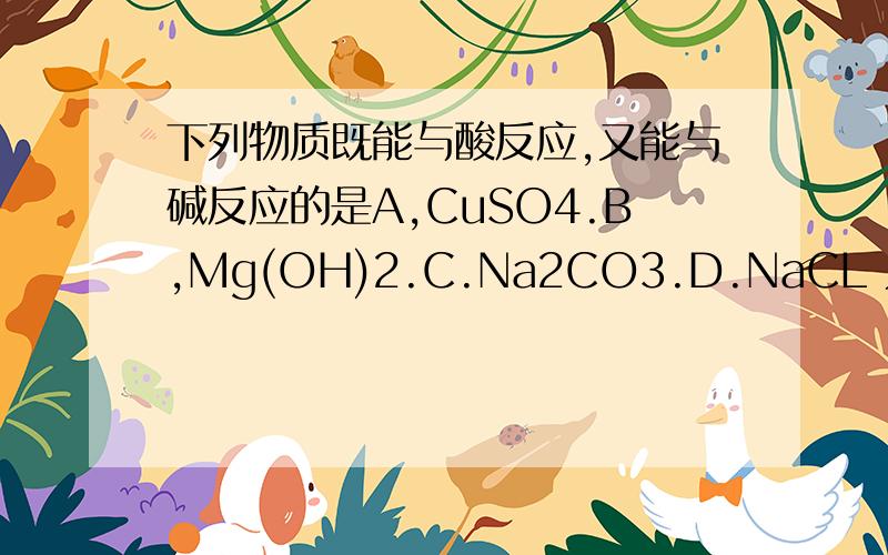 下列物质既能与酸反应,又能与碱反应的是A,CuSO4.B,Mg(OH)2.C.Na2CO3.D.NaCL 为什么阿