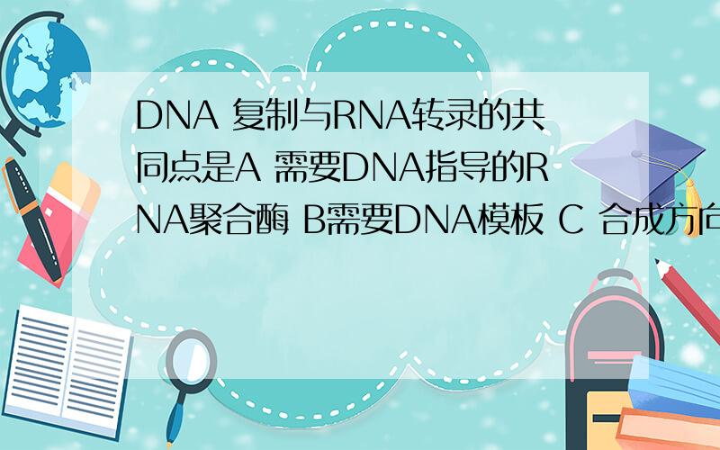 DNA 复制与RNA转录的共同点是A 需要DNA指导的RNA聚合酶 B需要DNA模板 C 合成方向为5'——3’D 合成方式为半不连续合成 E 需要RNA引物