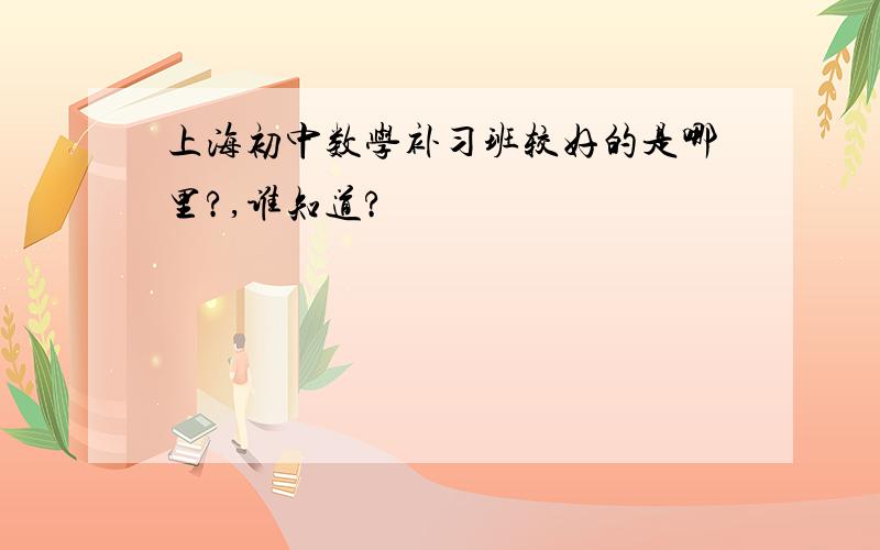 上海初中数学补习班较好的是哪里?,谁知道?