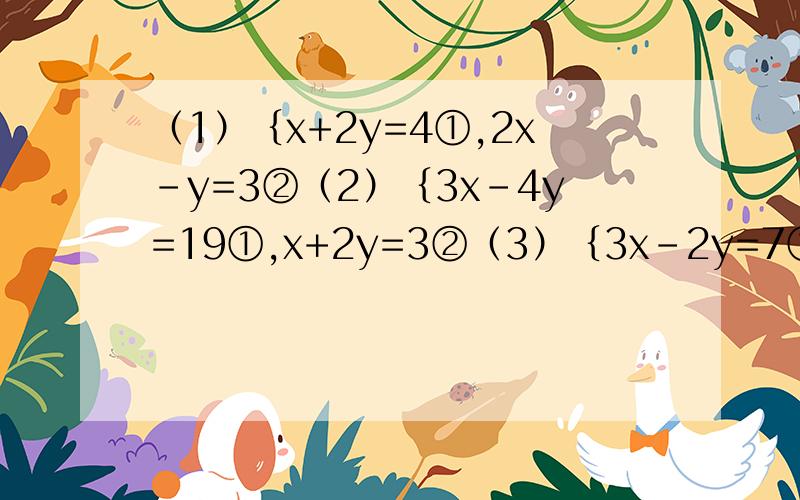 （1）｛x+2y=4①,2x-y=3②（2）｛3x-4y=19①,x+2y=3②（3）｛3x-2y=7①,2分之x+3-y=0②（4）｛x-2y=1①,2x+3y=16②(5)｛ 4s+3t=5①,2s-t=-5②(6)｛2x+5y=12①,2x+3y=6②(7)｛2a-3b=4①,a/2+b/2=1②(8)｛x-2=2(y-1)①,2(x-2)+y-1=5②