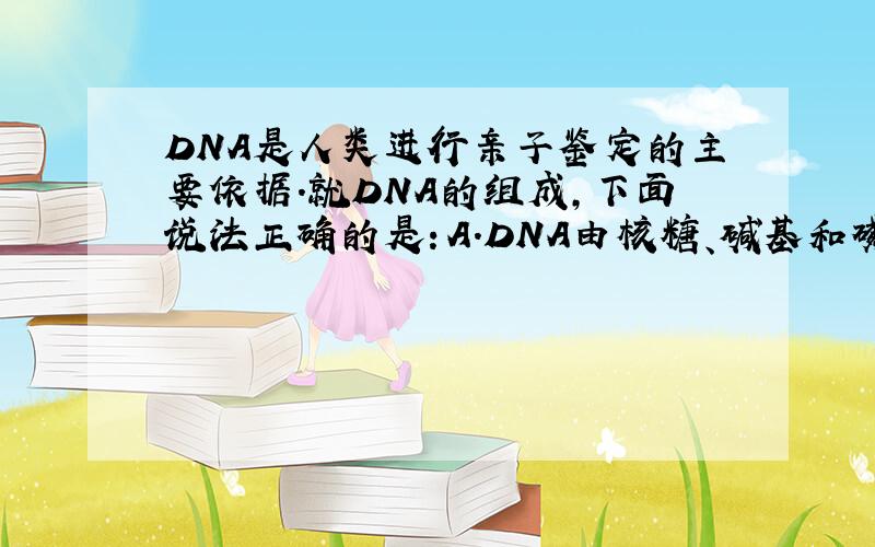 DNA是人类进行亲子鉴定的主要依据.就DNA的组成,下面说法正确的是：A．DNA由核糖、碱基和磷酸组成 B．DNA是人类进行亲子鉴定的主要依据.就DNA的组成,下面说法正确的是：A．DNA由核糖、碱基