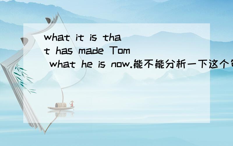 what it is that has made Tom what he is now.能不能分析一下这个句子的构成