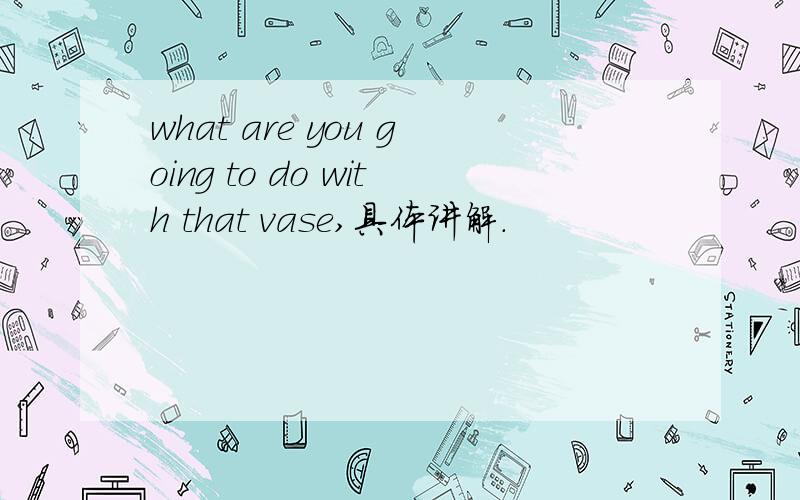 what are you going to do with that vase,具体讲解.