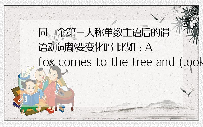 同一个第三人称单数主语后的谓语动词都要变化吗 比如：A fox comes to the tree and (look)at the cock.括号里面这个look,要加S