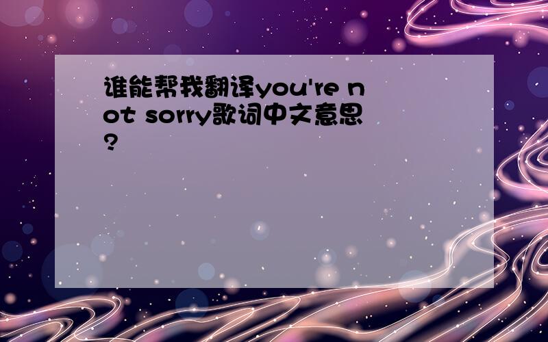 谁能帮我翻译you're not sorry歌词中文意思?