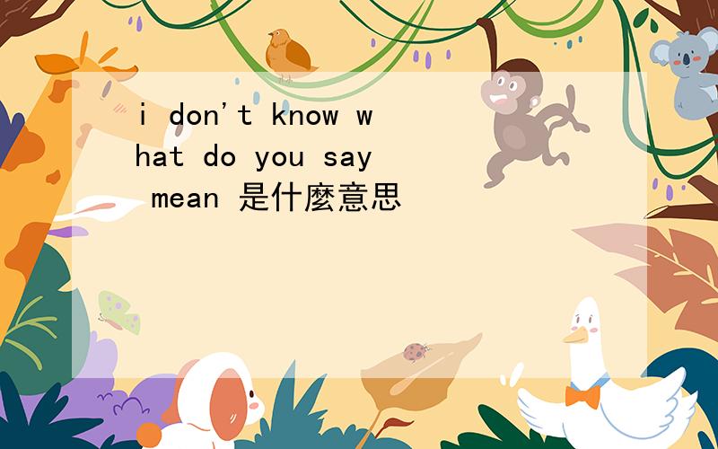 i don't know what do you say mean 是什麼意思