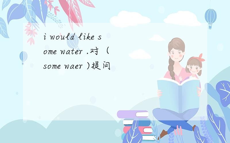 i would like some water .对（ some waer )提问