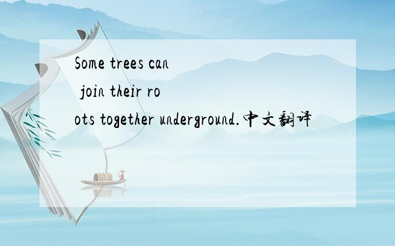 Some trees can join their roots together underground.中文翻译