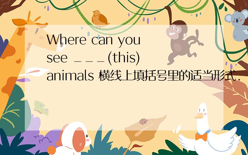 Where can you see ___(this) animals 横线上填括号里的适当形式.