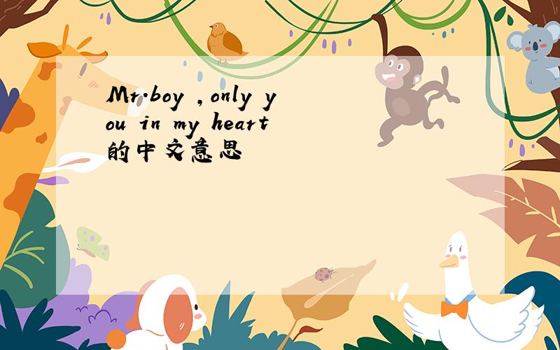 Mr.boy ,only you in my heart的中文意思