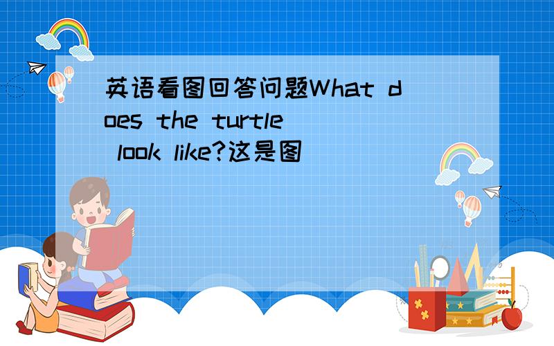 英语看图回答问题What does the turtle look like?这是图