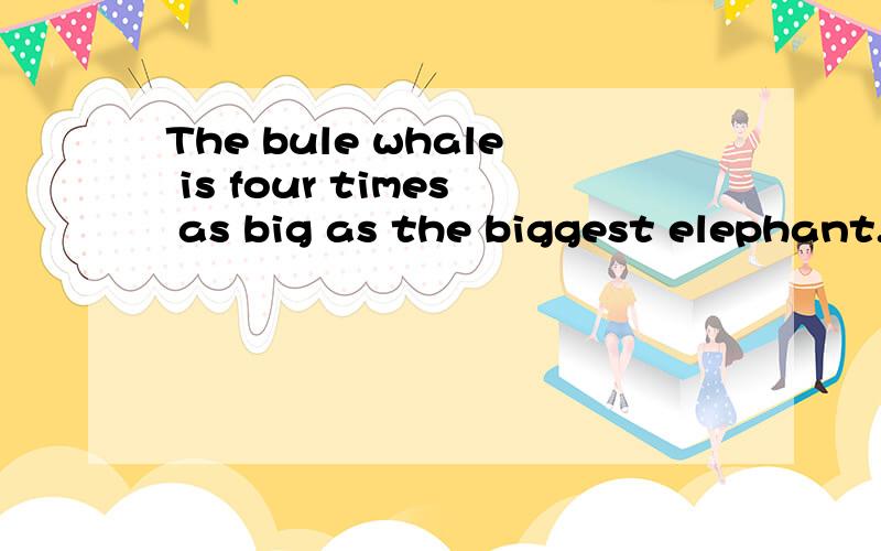 The bule whale is four times as big as the biggest elephant.(同义句转换）