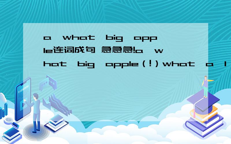 a,what,big,apple连词成句 急急急!a,what,big,apple（!）what,a,I,of,bottle,water(.)morning,I,drink,didnot(o代替撇),anything,this(?)eat,what,you,did,night,lase(?)you,ride,did,a,with,bike,friends,your(?)