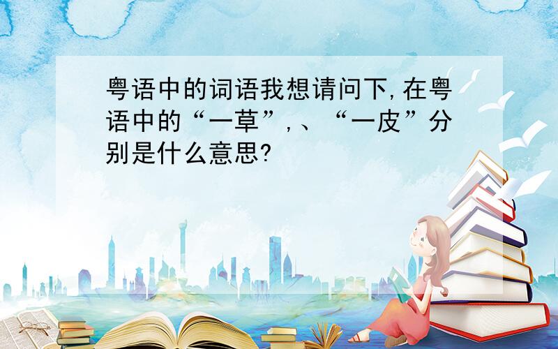 粤语中的词语我想请问下,在粤语中的“一草”,、“一皮”分别是什么意思?