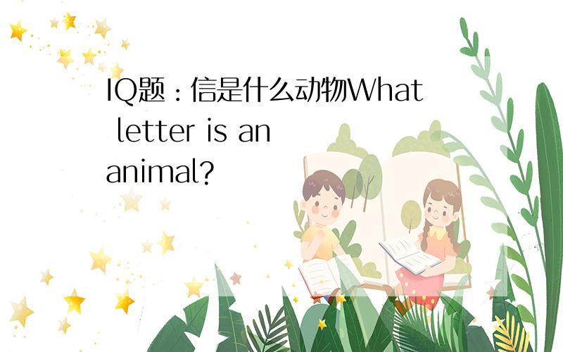 IQ题：信是什么动物What letter is an animal?