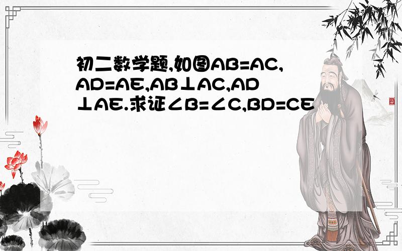 初二数学题,如图AB=AC,AD=AE,AB⊥AC,AD⊥AE.求证∠B=∠C,BD=CE