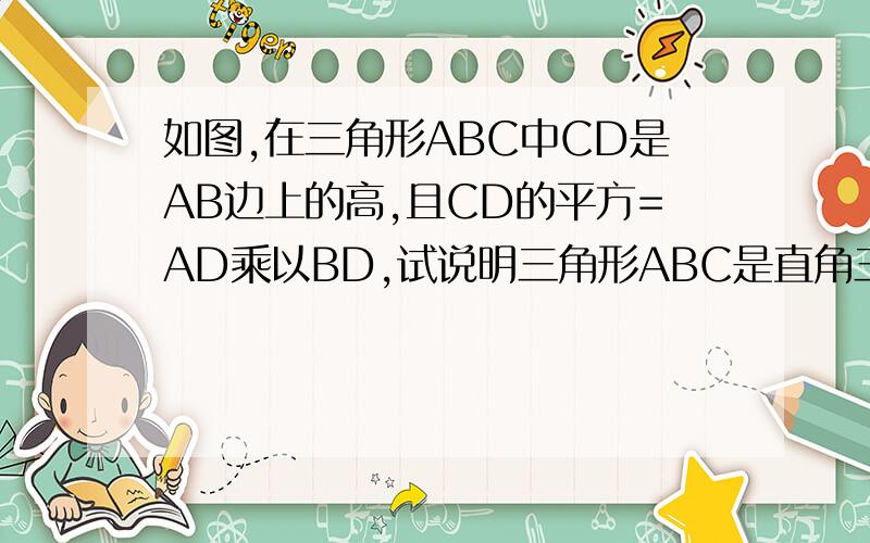 如图,在三角形ABC中CD是AB边上的高,且CD的平方=AD乘以BD,试说明三角形ABC是直角三角形!急用,快,谢谢啦!