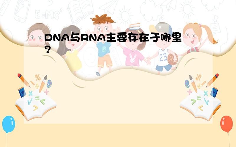DNA与RNA主要存在于哪里?
