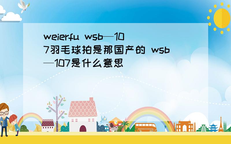 weierfu wsb—107羽毛球拍是那国产的 wsb—107是什么意思