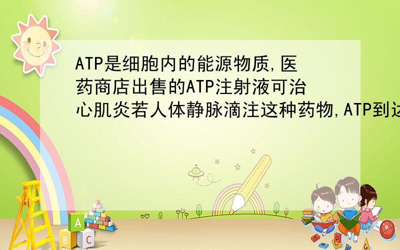 ATP是细胞内的能源物质,医药商店出售的ATP注射液可治心肌炎若人体静脉滴注这种药物,ATP到达心肌细胞内最少要通过的细胞膜有（）A．1层B．2层C．3层D．4层