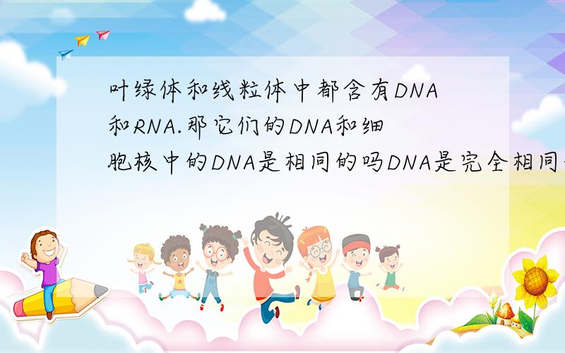 叶绿体和线粒体中都含有DNA和RNA.那它们的DNA和细胞核中的DNA是相同的吗DNA是完全相同的么？从基因的种类的角度。额，怎么说呢，就是说，不同的人的基因是不同的对把。那叶绿体和线粒体