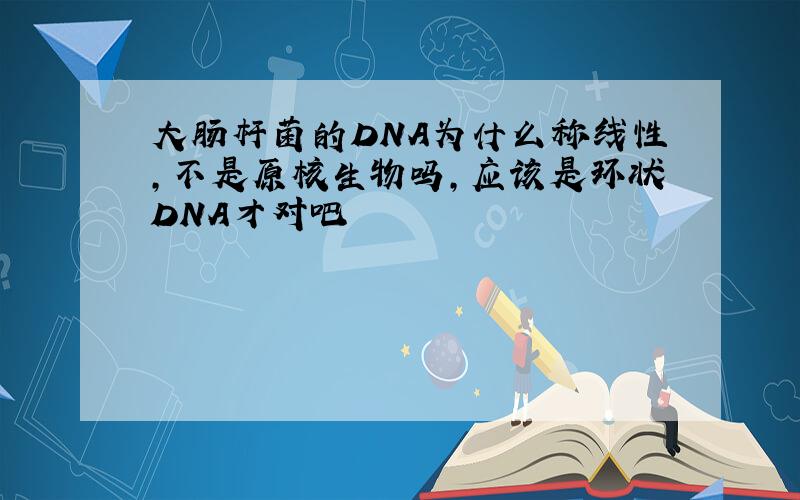 大肠杆菌的DNA为什么称线性,不是原核生物吗,应该是环状DNA才对吧