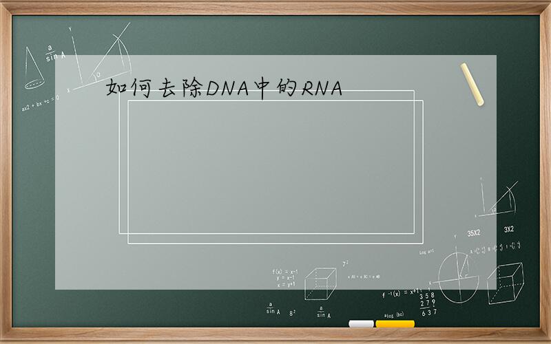 如何去除DNA中的RNA