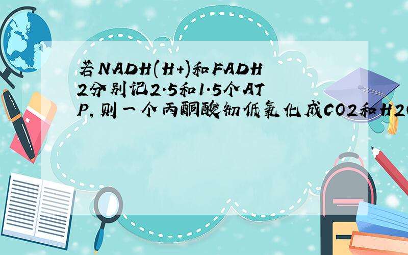若NADH(H+)和FADH2分别记2.5和1.5个ATP,则一个丙酮酸彻低氧化成CO2和H2O释放多少ATP.