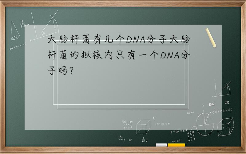 大肠杆菌有几个DNA分子大肠杆菌的拟核内只有一个DNA分子吗?